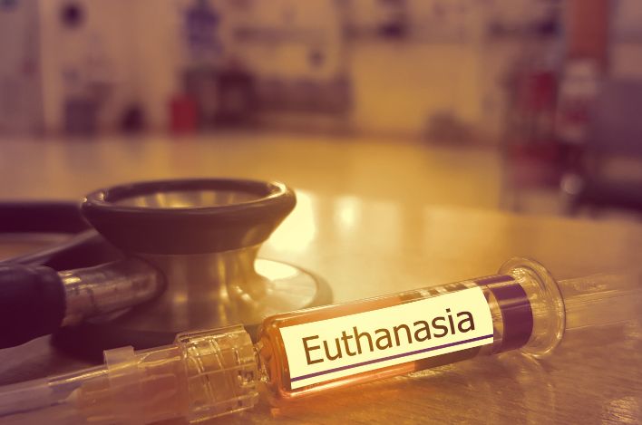 Wo kann man Pentobarbital-Natrium in Deutschland kaufen?