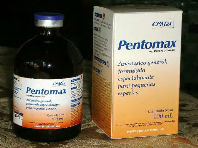 Nembutal Natrium Pentobarbital online kaufen